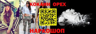 индика Гусев