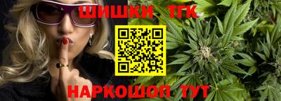 индика Гусев