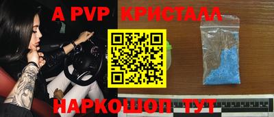 индика Гусев