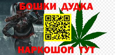 индика Гусев