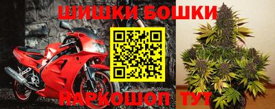 индика Гусев