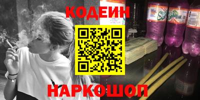индика Гусев