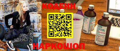 индика Гусев