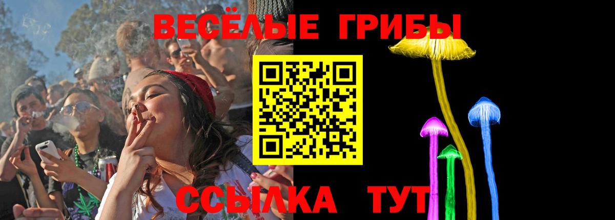Галлюциногенные грибы Psilocybe  Вход с VPN  где можно купить   Вичуга 