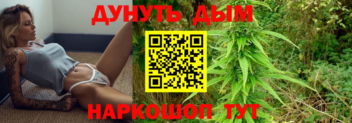 Бошки марихуана сатива  Марихуана планчик  Вичуга  Вход с VPN 